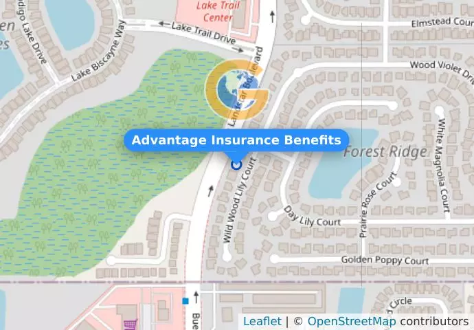 Advantage Insurance Benefits