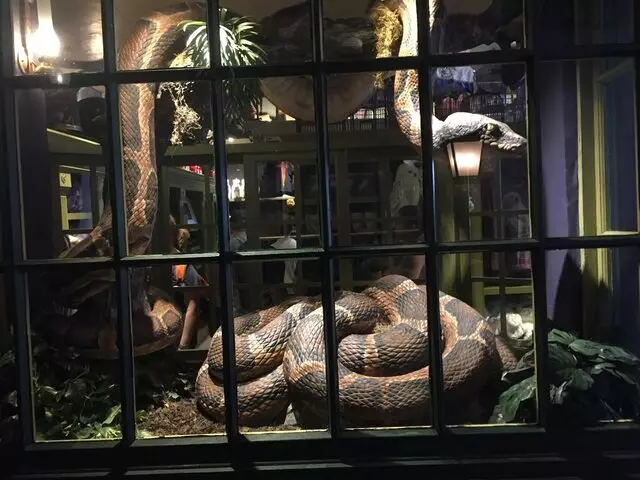 Magical Menagerie