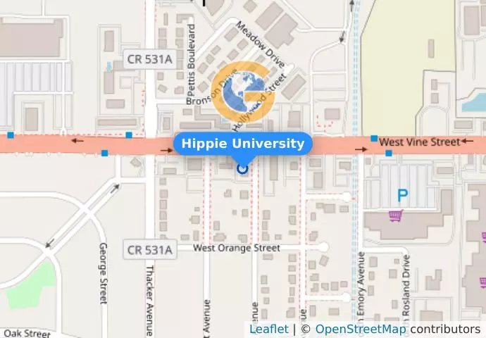 Hippie University