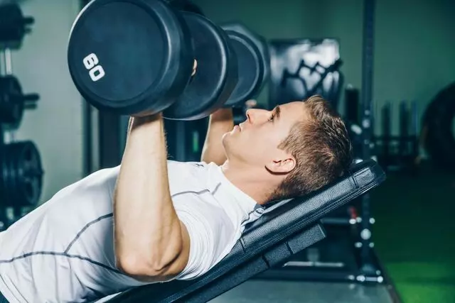 Iron Lion Fitness