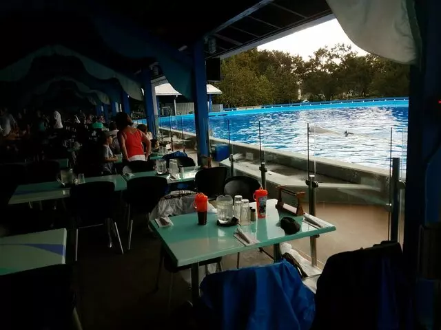 Dine With Shamu