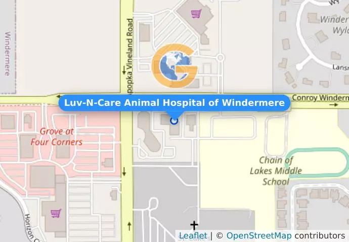 Luv-N-Care Animal Hospital of Windermere