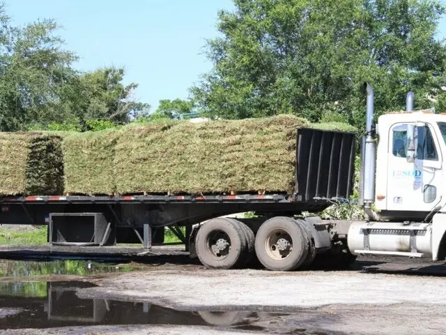 1 Stop Sod & Landscaping Inc