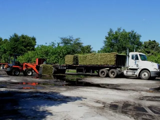 1 Stop Sod & Landscaping Inc