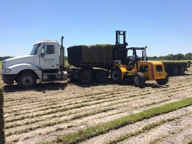 1 Stop Sod & Landscaping Inc