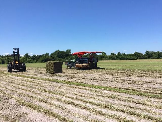 1 Stop Sod & Landscaping Inc