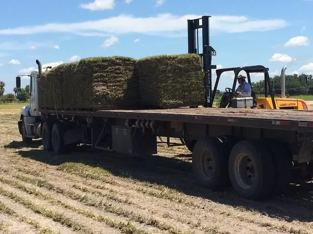 1 Stop Sod & Landscaping Inc