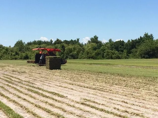 1 Stop Sod & Landscaping Inc