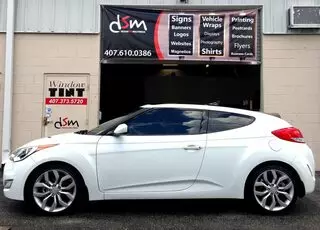 DSM Window Tinting