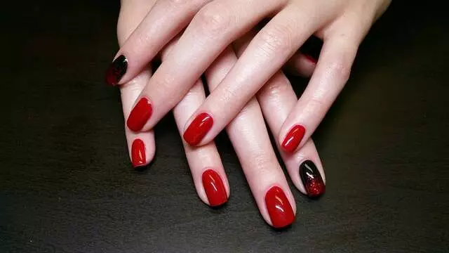 A Royal Pampering
