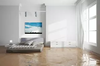 Phil White Painting and Restoration