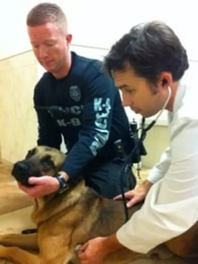 Animal Emergency Center
