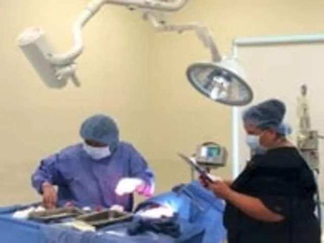 Animal Emergency Center
