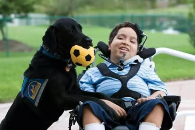 Canine Companions for Independence