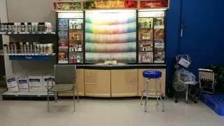 PPG Paints