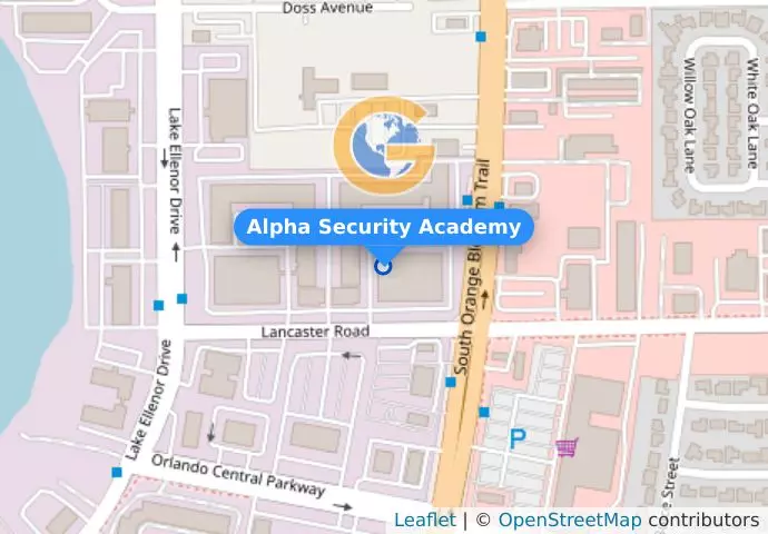 Alpha Security Academy