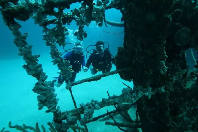 Ranger Rick's Scuba Adventure