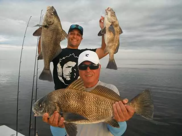 Bag&apos;em Fishing Charters