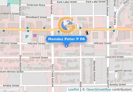 Mendez Peter P PA