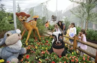 Epcot International Flower & Garden Festival